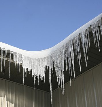 Icicles hanging from an ice dam in the gutter