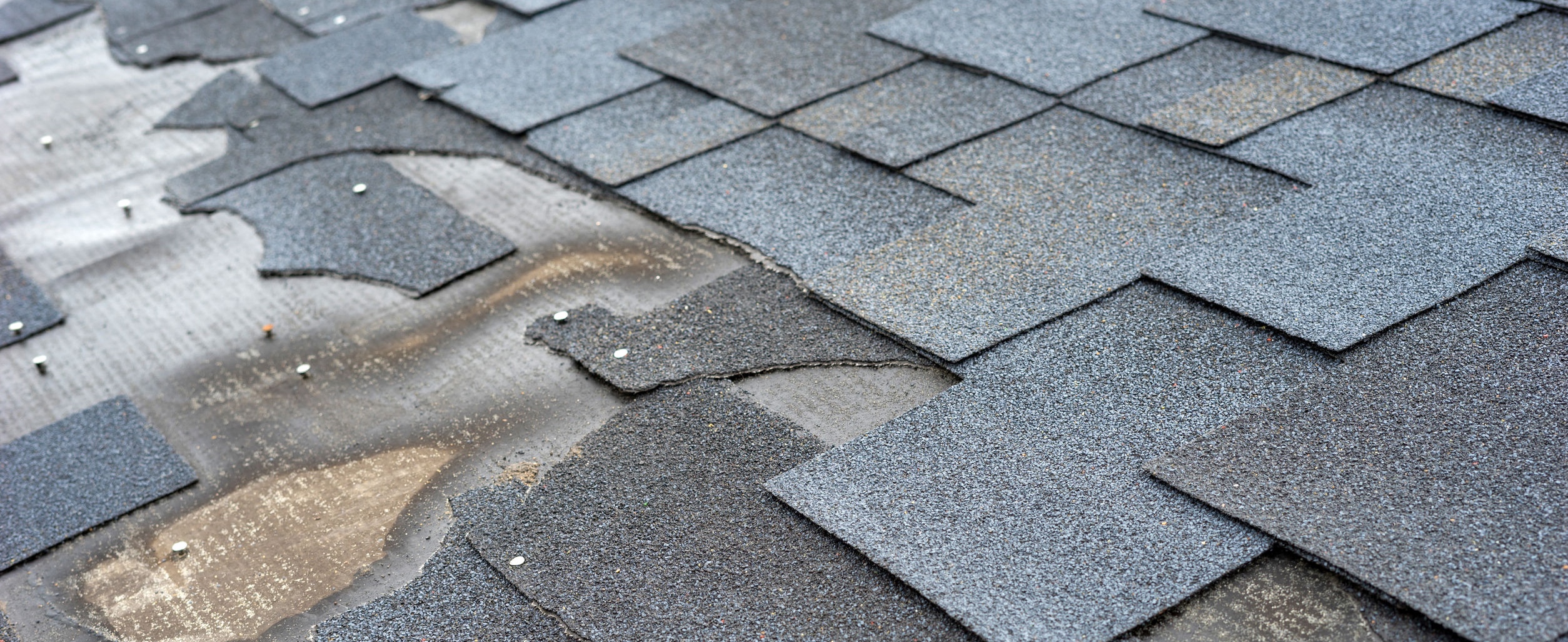 Damaged asphalt shingle roof